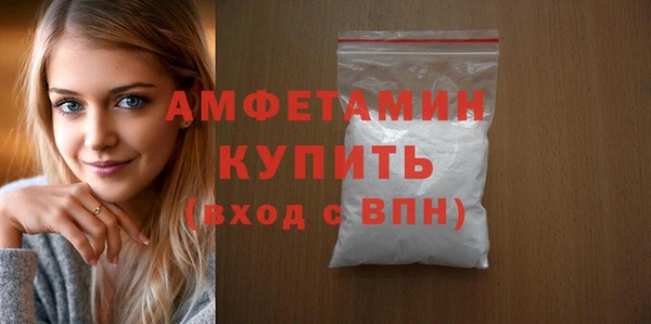 прущие грибы Надым