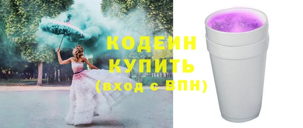 прущие грибы Надым
