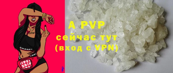 прущие грибы Надым