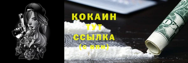 прущие грибы Надым