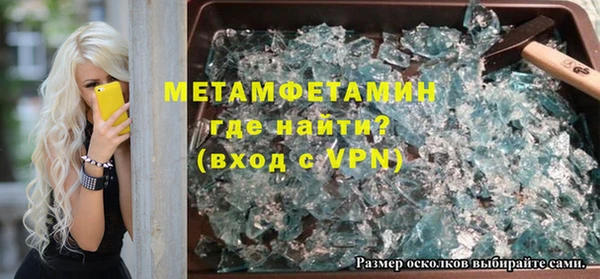 прущие грибы Надым
