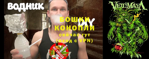 прущие грибы Навашино