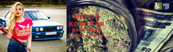 прущие грибы Надым