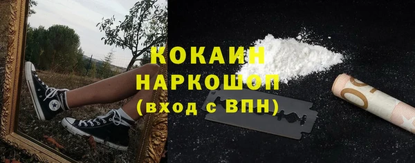 прущие грибы Надым