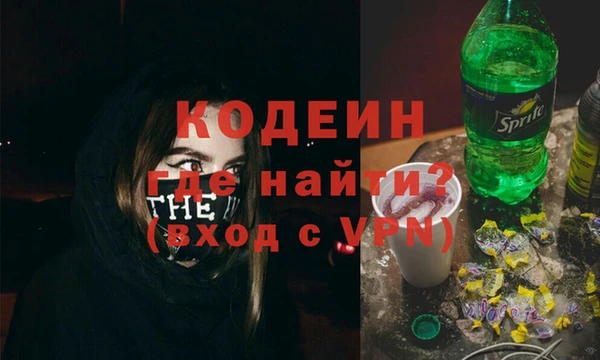 прущие грибы Надым