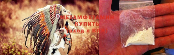 прущие грибы Надым