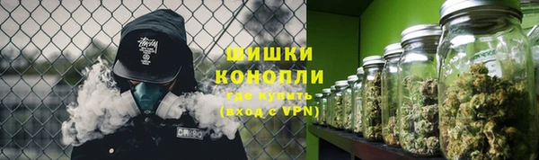 прущие грибы Надым