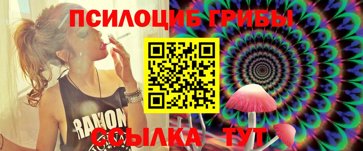 Воронеж  Галлюциногенные грибы Psilocybine cubensis  Вход с VPN 