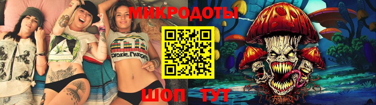 Псилоцибиновые грибы Psilocybe  Галлюциногенные грибы MAGIC MUSHROOMS  Воронеж 