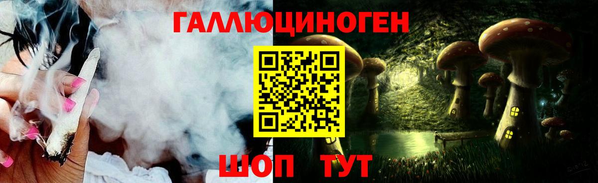 Галлюциногенные грибы Psilocybe Воронеж